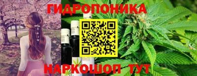 гашишное масло Будённовск