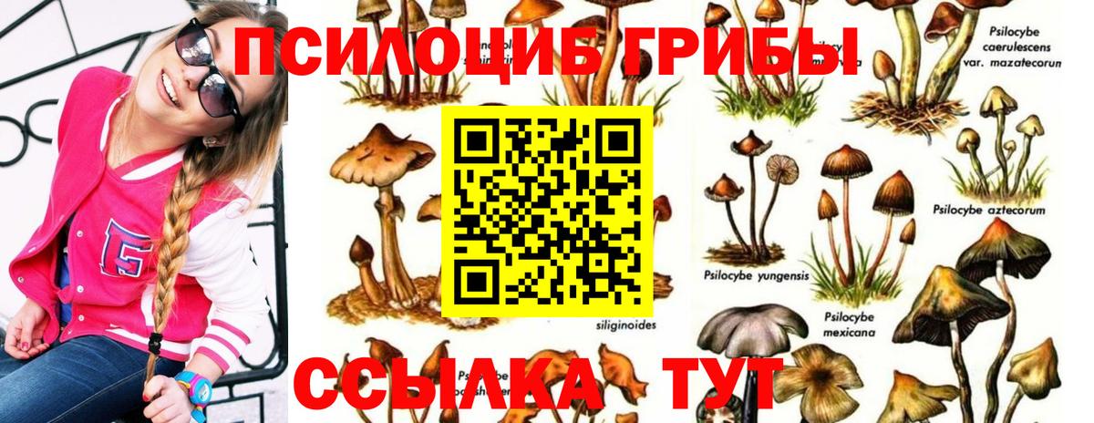 Прохладный  Псилоцибиновые грибы GOLDEN TEACHER  Вход с VPN  Псилоцибиновые грибы ЛСД 